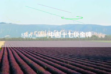 黔西南中国十七块金牌