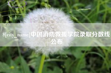 黔西南中国消防救援学院录取分数线公布