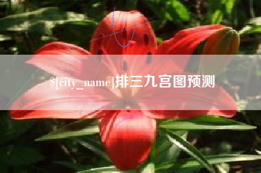 黔西南排三九宫图预测