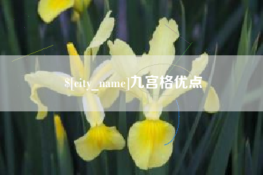 黔西南九宫格优点