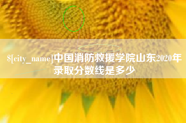 黔西南中国消防救援学院山东2020年录取分数线是多少
