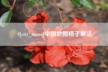 黔西南中国地图格子画法