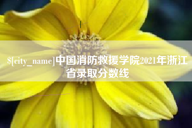 黔西南中国消防救援学院2021年浙江省录取分数线