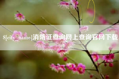 黔西南消防证查询网上查询官网下载