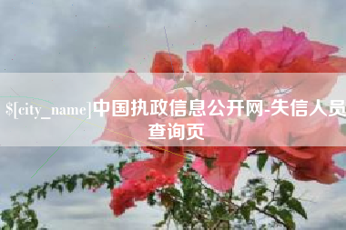 黔西南中国执政信息公开网-失信人员查询页