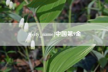 黔西南中国第9金