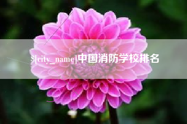 黔西南中国消防学校排名