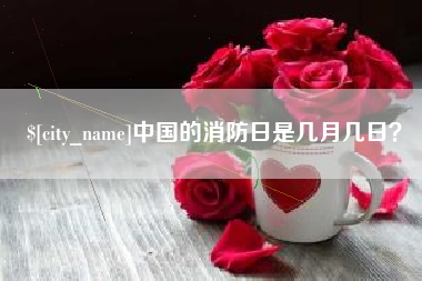黔西南中国的消防日是几月几日？