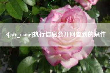 黔西南执行信息公开网查到的案件