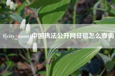 黔西南中国执法公开网征信怎么查询