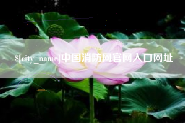 黔西南中国消防网官网入口网址
