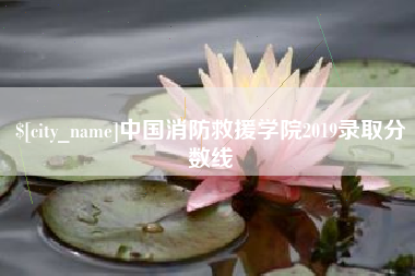 黔西南中国消防救援学院2019录取分数线