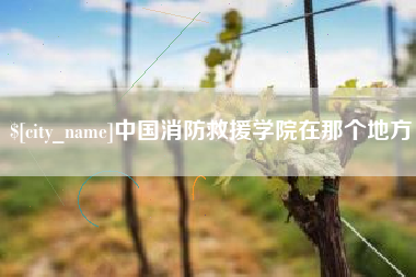 黔西南中国消防救援学院在那个地方