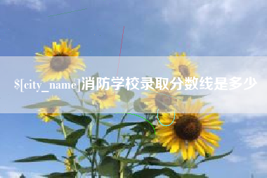 黔西南消防学校录取分数线是多少