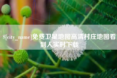 黔西南免费卫星地图高清村庄地图看到人实时下载