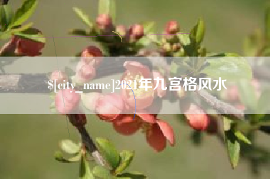 黔西南2021年九宫格风水