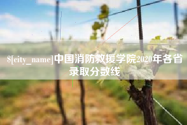 黔西南中国消防救援学院2020年各省录取分数线