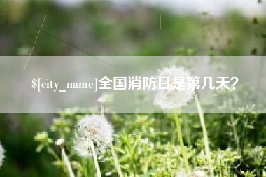 黔西南全国消防日是第几天？