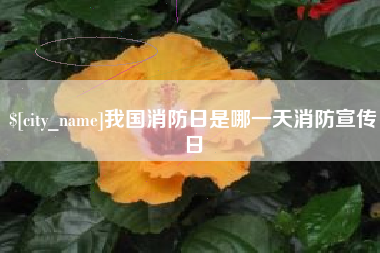 黔西南我国消防日是哪一天消防宣传日