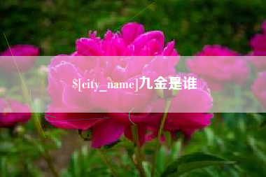 黔西南九金是谁