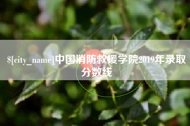 黔西南中国消防救援学院2019年录取分数线