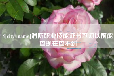 黔西南消防职业技能证书查询以前能查现在查不到