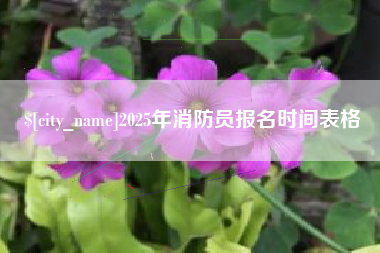 黔西南2025年消防员报名时间表格
