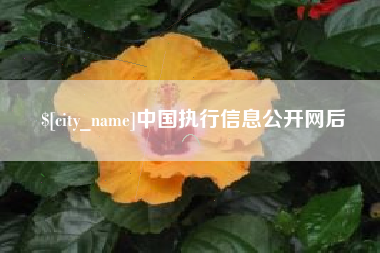 黔西南中国执行信息公开网后