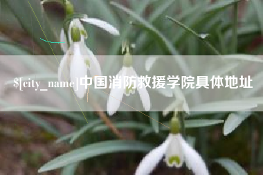 黔西南中国消防救援学院具体地址