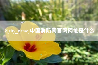 黔西南中国消防网官网网址是什么