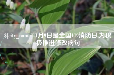 黔西南11月9日是全国119消防日,为积极推进修改病句