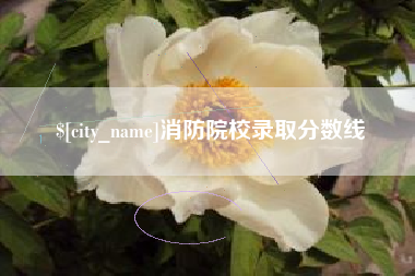 黔西南消防院校录取分数线