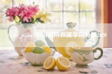 黔西南中国消防救援学院分数2020