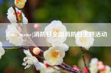 黔西南消防日全国消防日主题活动