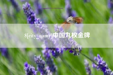 黔西南中国九枚金牌