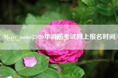 黔西南2020年消防考试网上报名时间