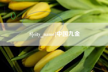 黔西南中国九金