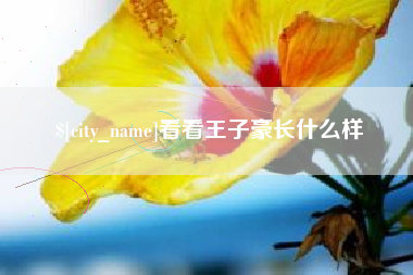 黔西南看看王子豪长什么样
