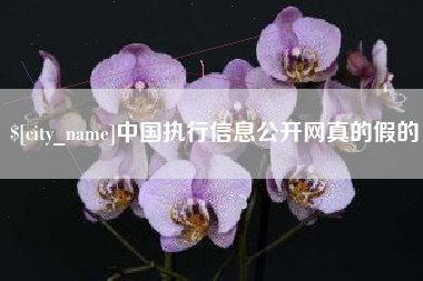 黔西南中国执行信息公开网真的假的