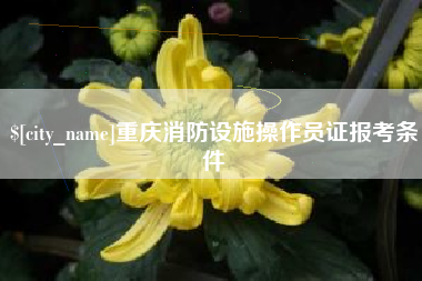黔西南重庆消防设施操作员证报考条件