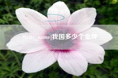 黔西南我国多少个金牌