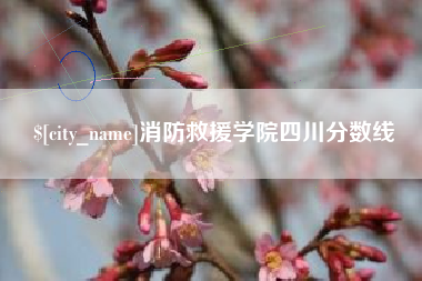 黔西南消防救援学院四川分数线