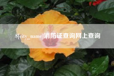 黔西南消防证查询网上查询