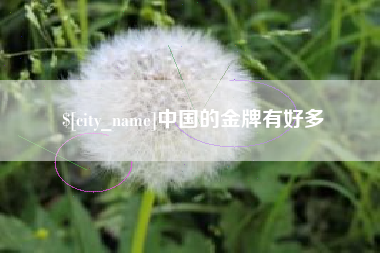 黔西南中国的金牌有好多