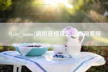 黔西南消防资格证怎么查询系统