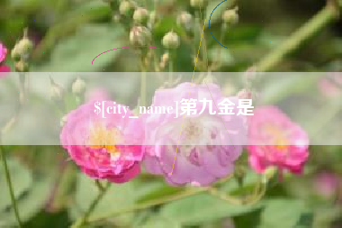 黔西南第九金是