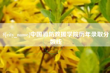 黔西南中国消防救援学院历年录取分数线