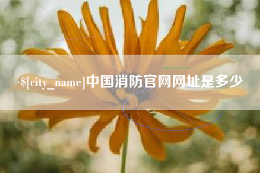 黔西南中国消防官网网址是多少