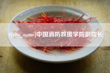 黔西南中国消防救援学院副院长