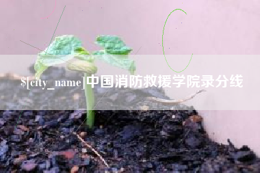 黔西南中国消防救援学院录分线